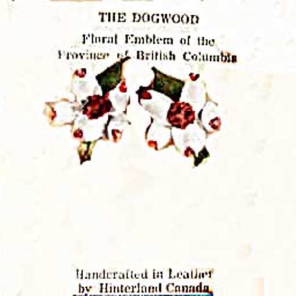 EARRINGS, VINTAGE LEATHER DOGWOOD FLOWER HAND MADE, HINTERLAND CANADA, 1962, - Picture 2 of 2